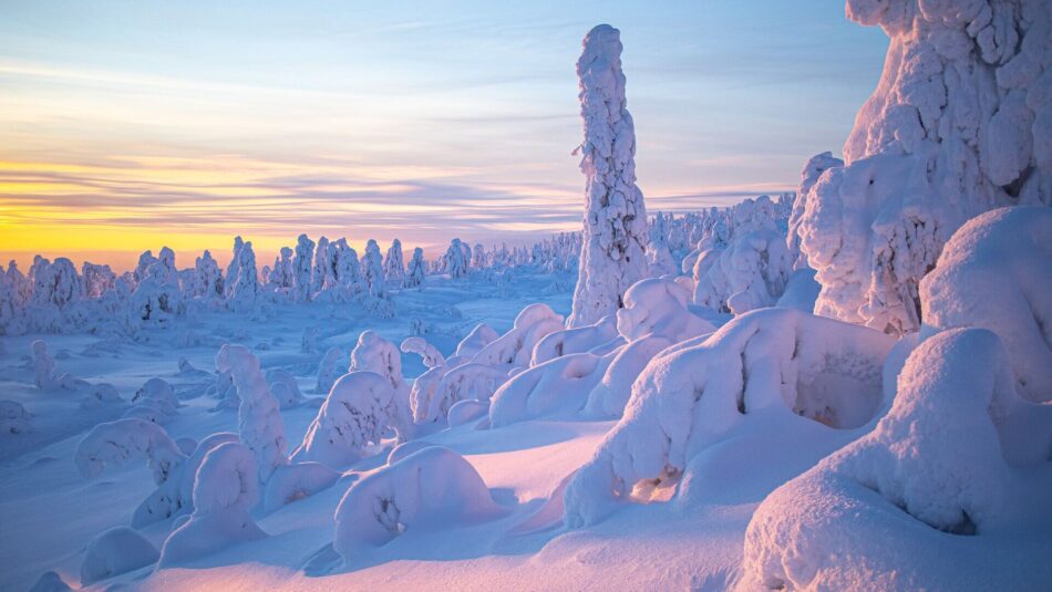 snowy wonderland of Finnish Lapland, Finland