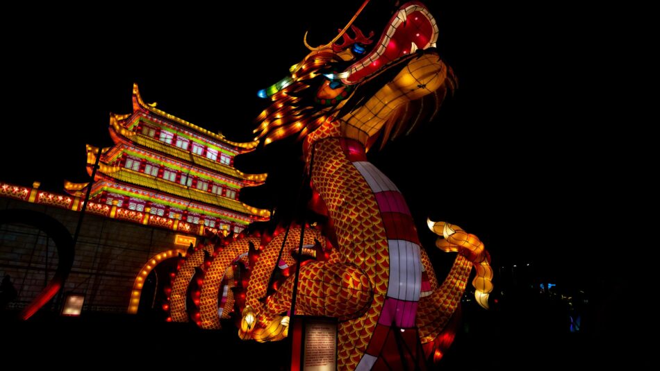 Dragon lantern during Chinese New Year