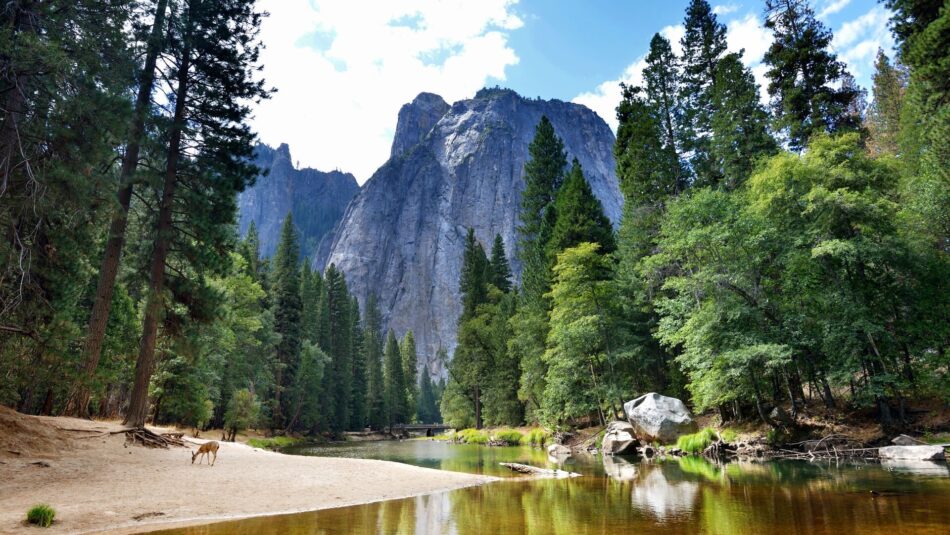 Yosemite National Park with mountains and trees