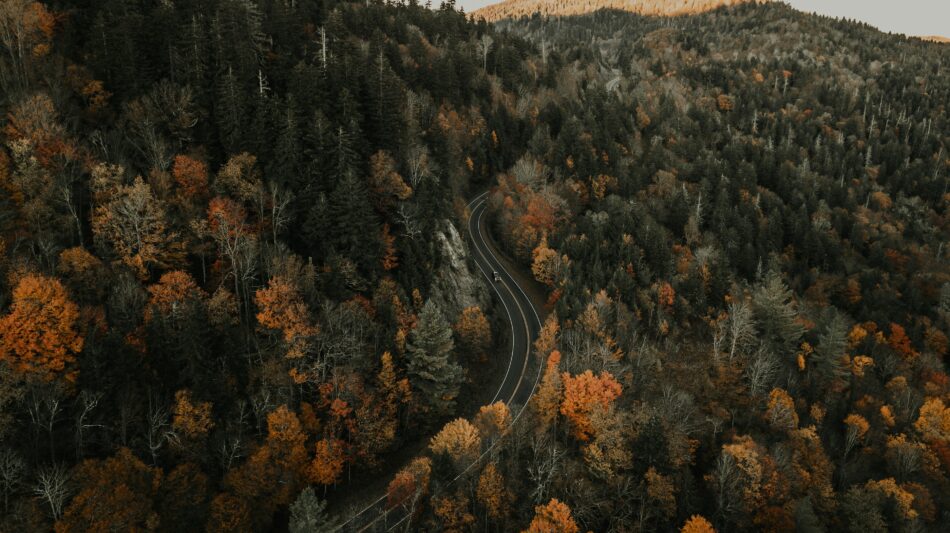 aerial view of a drive through Blue Ridge Parkway in the autumn