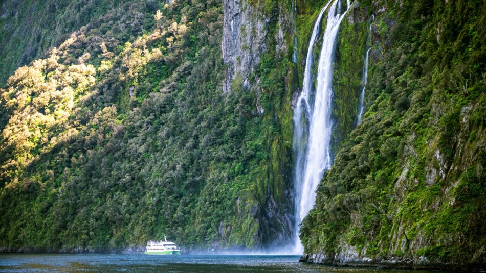 view of the tall and lush waterfalls of Milford Sound