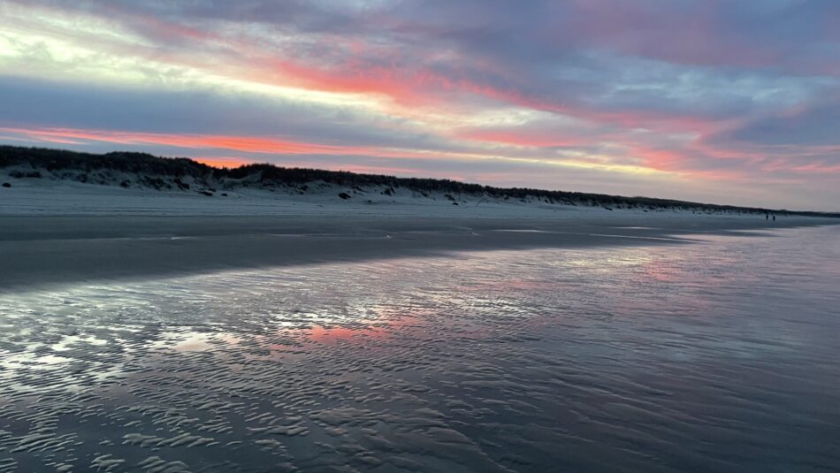 sunset beaches near Auckland in New Zealand