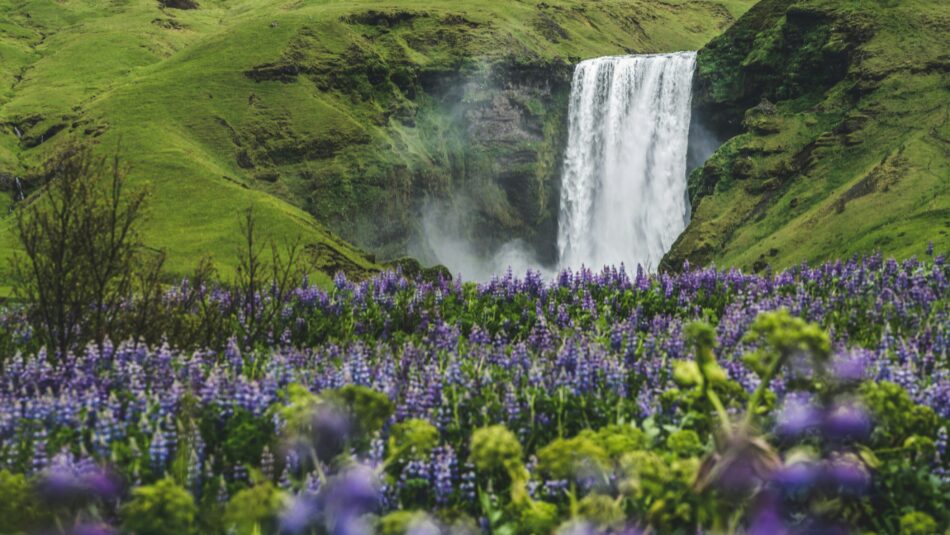 scenic photo of Iceland in spring with waterfalls and lush greenery