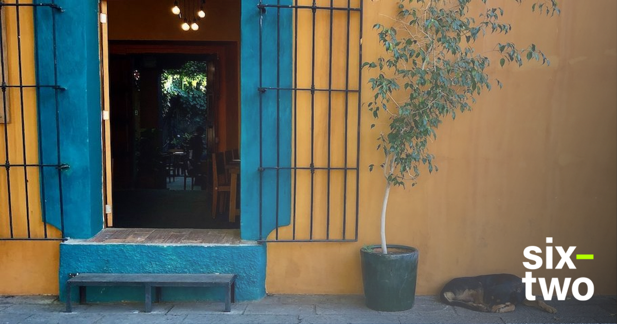 All the best things to do in Oaxaca City, Mexico - Contiki