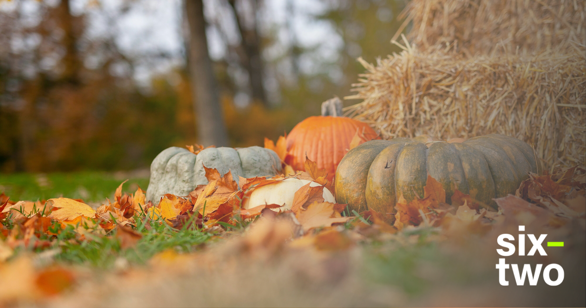 20 Best Destinations for Thanksgiving Weekend | Contiki