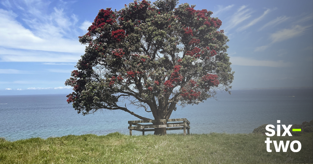 Best things to do in Auckland, New Zealand | six-two by Contiki